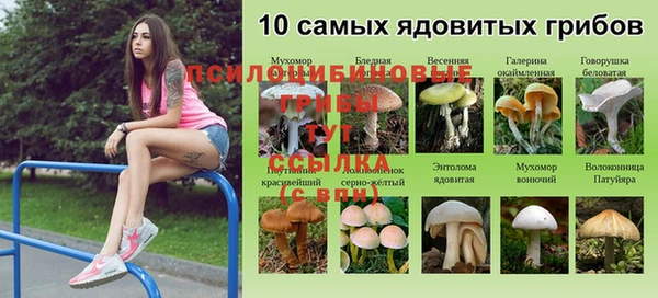 MDMA Аркадак
