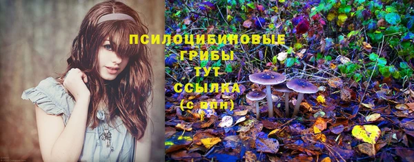прущая мука Армянск