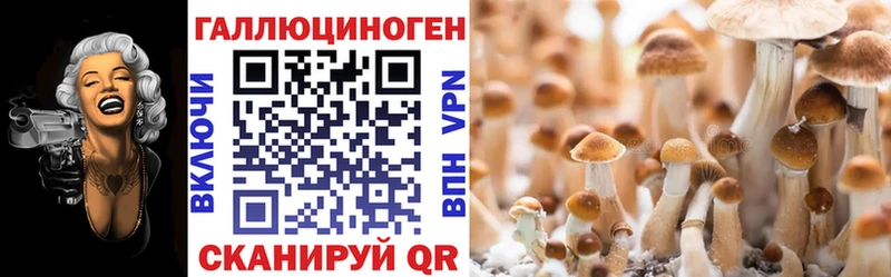 Галлюциногенные грибы мицелий купить наркоту Терек